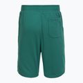 Pánské tréninkové šortky Under Armour Rival LW Graphic rack green/black 6