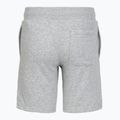 Dětské šortky Under Armour Rival LW Shorts mod gray light heather/black 2