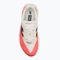 Pánské běžecké boty New Balance FuelCell Rebel V5 5
