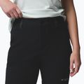 Pánské snowboardové kalhoty Columbia Winter District black 6