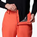 Pánské lyžařské kalhoty Columbia Bugaboo V zing 6