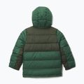 Dětská zateplená bunda Columbia Pike Lake II Hooded rain forest/greenscape 2