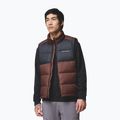 Pánská vesta Columbia Pike Lake II tobacco/black 4