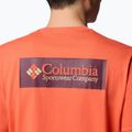 Pánské trekingové tričko Columbia North Cascades zing/csc box logo 6