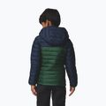 Dětská bunda Columbia Powder Lite II Hooded rain forest/collegiate navy 3