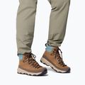 Pánské boty Columbia Newton Alpine PT light brown/metal 8