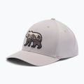 Kšiltovka Columbia Lost Lager 3D Stretch Snapback flint grey/scenic stroll