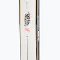 Pánský snowboard Salomon Assassin 5