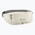Běžecký pás Salomon Pulse Sling icicle / castlerock