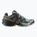 Pánské běžecké boty Salomon Speedcross 6 GTX trooper/black/wood thrush 2
