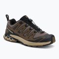 Pánské běžecké boty Salomon XA Pro 3D V9 falcon/desert tan/black