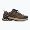 Pánské běžecké boty Salomon XA Pro 3D V9 falcon/desert tan/black 2