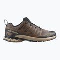 Pánské běžecké boty Salomon XA Pro 3D V9 falcon/desert tan/black 2