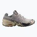 Pánské běžecké boty Salomon Speedcross 6 GTX gull/white pepper/black 2