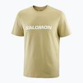 Pánské tričko Salomon Logo grey green 3