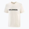 Pánské tričko Salomon Logo whisper white 3