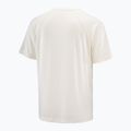 Pánské tričko Salomon Shakeout Core whisper white 4