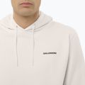 Pánská mikina Salomon Chest Logo Hoodie whisper white 3