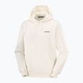 Pánská mikina Salomon Chest Logo Hoodie whisper white 5