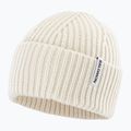 Zimní čepice Salomon Snowbird whisper white
