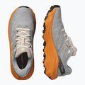 Pánské běžecké boty Salomon Ultra Flow 2 GTX gull/turmeric/white pepper 8