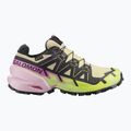 Dámské běžecké boty Salomon Speedcross 6 GTX bog/dawn pink