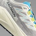 Pánské běžecké boty Salomon Aero Blaze 3 GRVL vanilla ice/ojos del salar/black 8