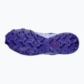 Dámské běžecké boty Salomon Speedcross 6 GTX deep blue/brunnera blue 5