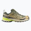 Pánské běžecké boty Salomon XA Pro 3D V9 GTX grape leaf/aloe
