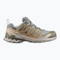 Pánské běžecké boty Salomon XA Pro 3D V9 GTX sedona sage/brilliant olive