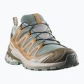 Pánské běžecké boty Salomon XA Pro 3D V9 GTX sedona sage/brilliant olive 2