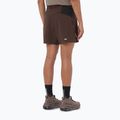 Pánské běžecké šortky Salomon Sense Aero Stow 5" coffee bean 3