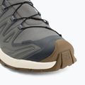 Pánské běžecké boty Salomon XA Pro 3D V9 GTX Lifelong sedona sage/coyote brown 7