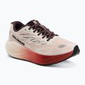 Dámské běžecké boty Salomon Aero Blaze 4 vanilla ice/huckleberry