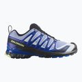 Pánské běžecké boty Salomon XA Pro 3D V9 Icon black/brunnera blue