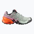 Dámské běžecké boty Salomon Speedcross 6 GTX Icon black/green milieu