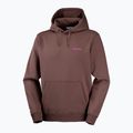Pánská běžecká mikina Salomon Shortney Hoodie shopping bag