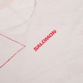 Pánské běžecké tričko Salomon S\Lab Speed Tee SS lilac ash 3