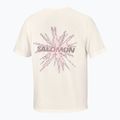 Pánské běžecké tričko Salomon Shakeout Core GFX SS Tee whisper white/pink frosting 6