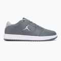 Pánské boty  Jordan Access Court Low smoke grey/white/light smoke grey 2