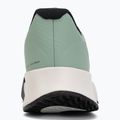 Pánské boty Nike Vapor Lite 3 Clay steam/light silver/white/black 6