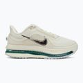 Dámské běžecké boty Nike Pegasus Premium sea glass/malachite/metallic silver 2