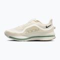 Pánské běžecké boty Nike Pegasus Premium Pale ivory/jade horizon/black spruce 2