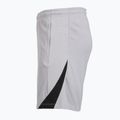 Pánské fotbalové šortky Nike Paris Saint-Germain Strike SE atmosphere grey/black/black 8