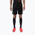 Pánské fotbalové šortky Nike Paris Saint-Germain 2025/26 Match SE black/black