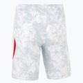 Pánské fotbalové šortky Nike Dri-Fit Poland Stadium Home white/field silver 2