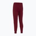 Pánské fotbalové kalhoty Nike Tech Fleece Poland Jogger team red 2