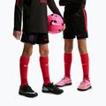 Dětské fotbalové šortky Nike Paris Saint-Germain Strike black/hyper royal/global red/global red