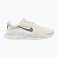 Pánské tréningové boty Nike Flex Train phantom/white/sail/pencil point