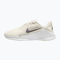 Pánské tréningové boty Nike Flex Train phantom/white/sail/pencil point 2